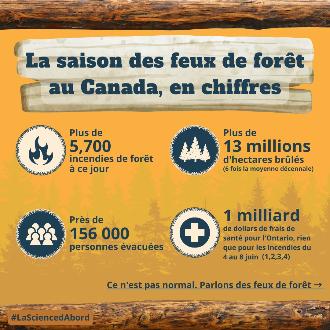 La saison des feux de forêt au Canada, en chiffres