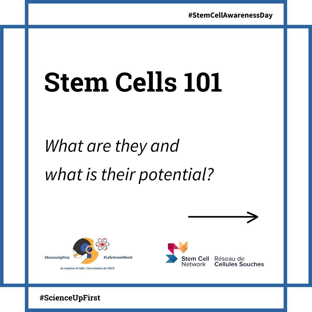 Stem Cells 101: Purpose and potential