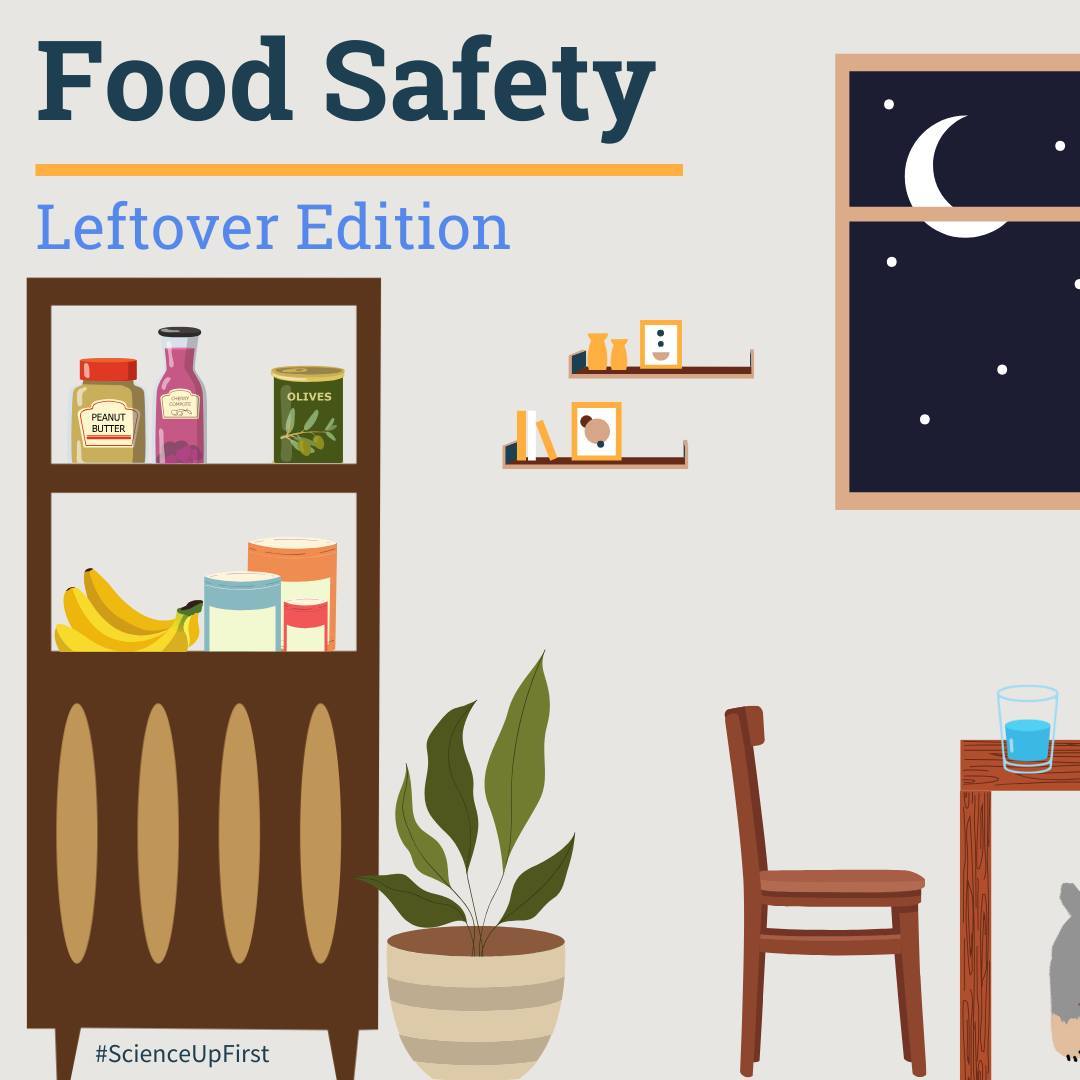 Food Safety: Leftover Edition