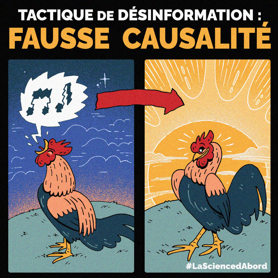 Description de l'image : L'illustration contient deux volets d'images séparés. À gauche, le coq chante avant l'aube, une bulle de parole avec des notes de musique sort de sa bouche. Une flèche rouge pointe vers le panneau de droite avec le même coq souriant devant le soleil levant. Le texte se lit comme suit : TACTIQUE DE DÉSINFORMATION : FAUSSE CAUSALITÉ