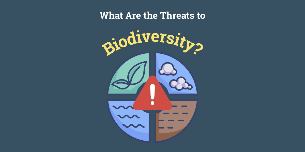 What are the threats to Biodiversity? | ScienceUpFirst